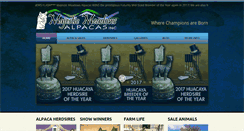 Desktop Screenshot of majesticmeadowsalpacas.com